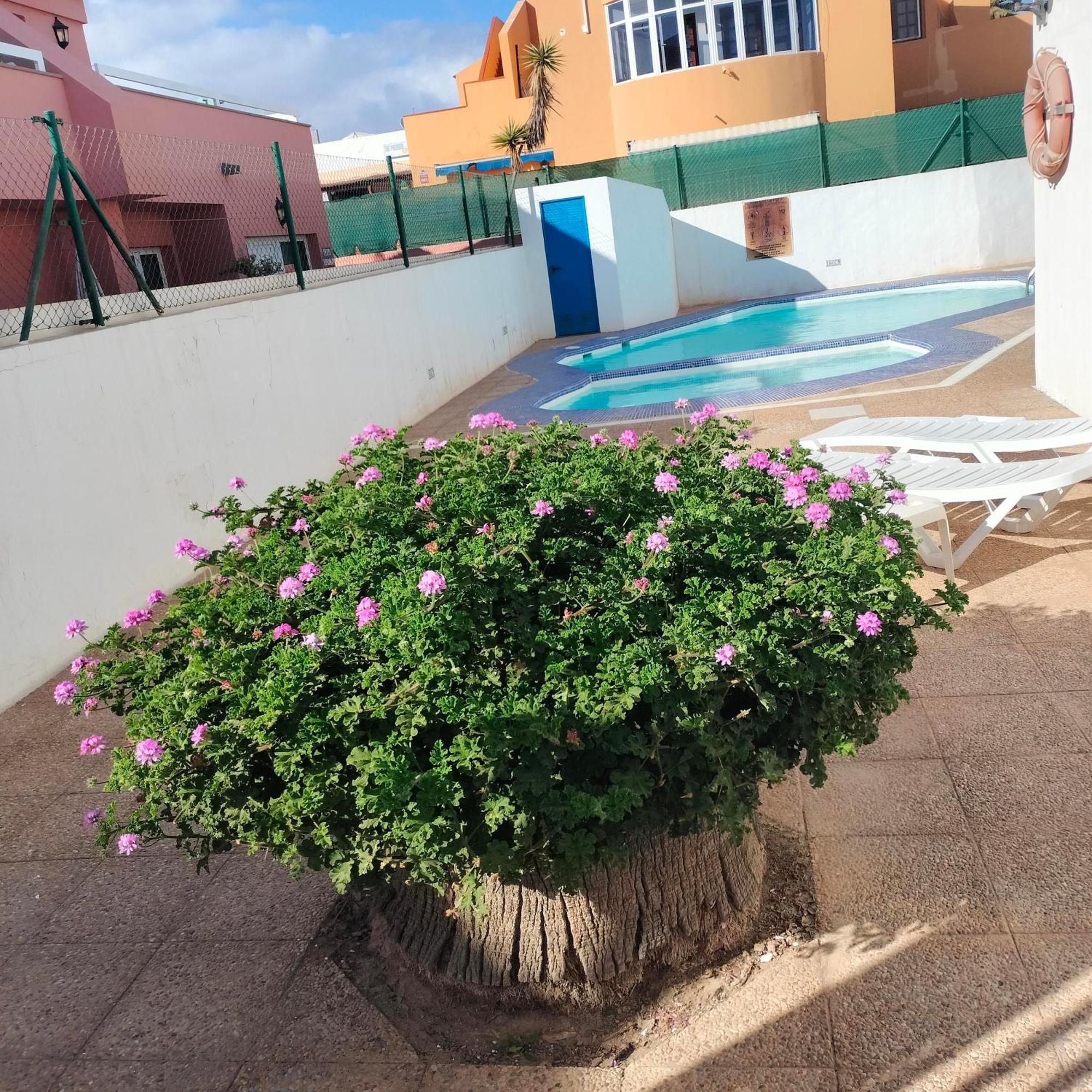 Vivienda Vacacional Alipatri Caleta De Fuste Eksteriør bilde